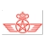 Airline Logo